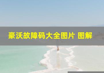 豪沃故障码大全图片 图解